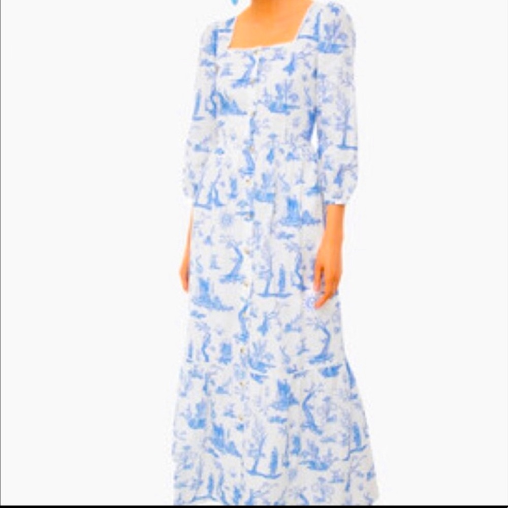 NWT never worn Meadows toile print dress size 0